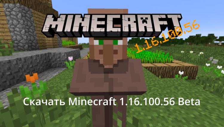 Minecraft PE 1.16.100.56 Бета