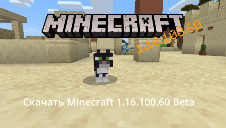 Minecraft PE 1.16.100.60 Бета
