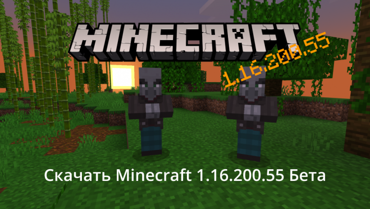 Minecraft PE 1.16.200.55 Бета
