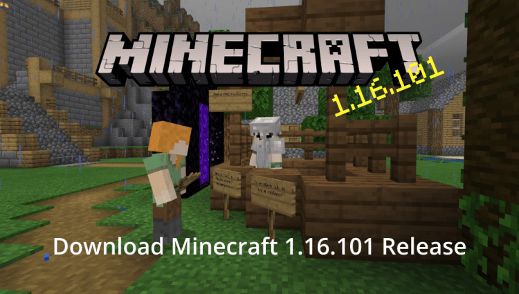 Minecraft 1.16.101 Release