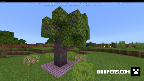 Azalea Tree Wood (Concept)