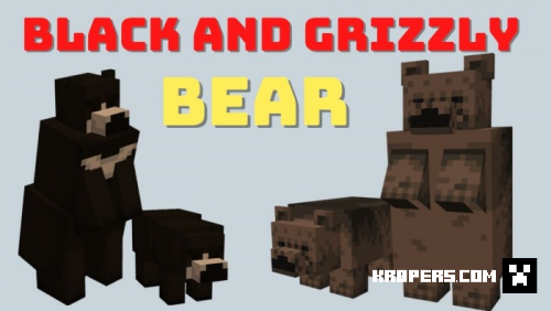Black and Grizzly Bear
