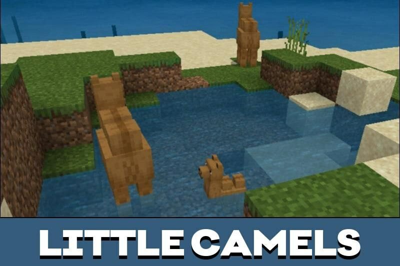 Kropers.com - Camel Mod for Minecraft PE - picture #2