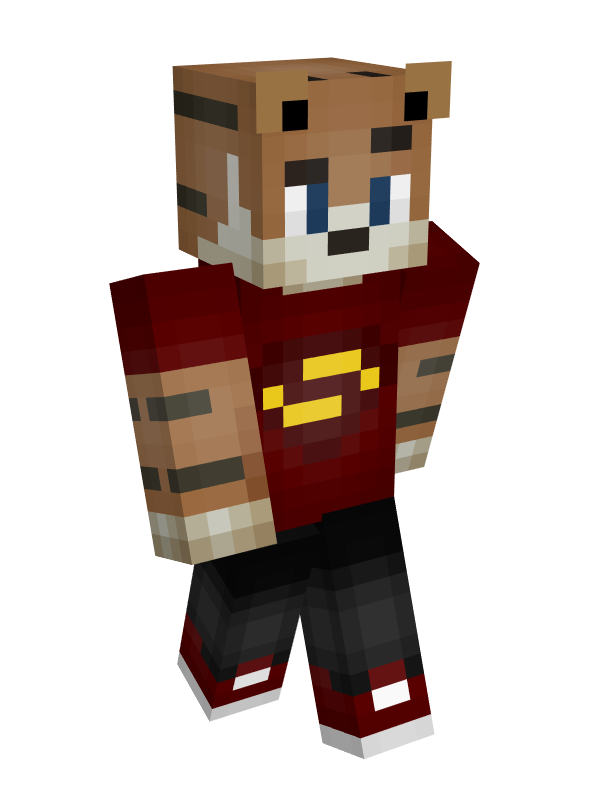 Скин Майнкрафт Кошка бой