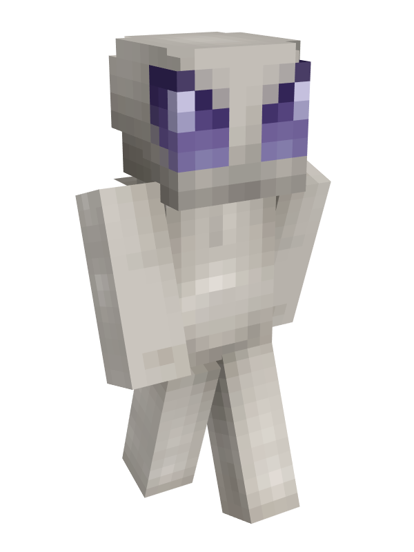 Скин Майнкрафт Безымянный дурачок