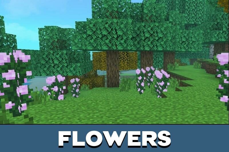 IRIS Shader for Minecraft PE | Textures for Minecraft PE | Kropers.com