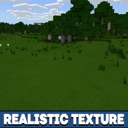 Realistic Texture Pack for Minecraft PE